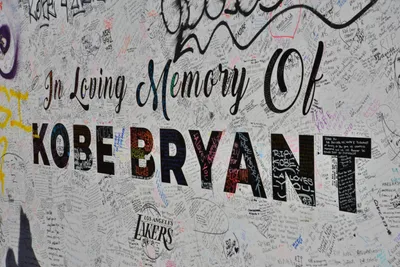 DSC_7164 (Large).JPG